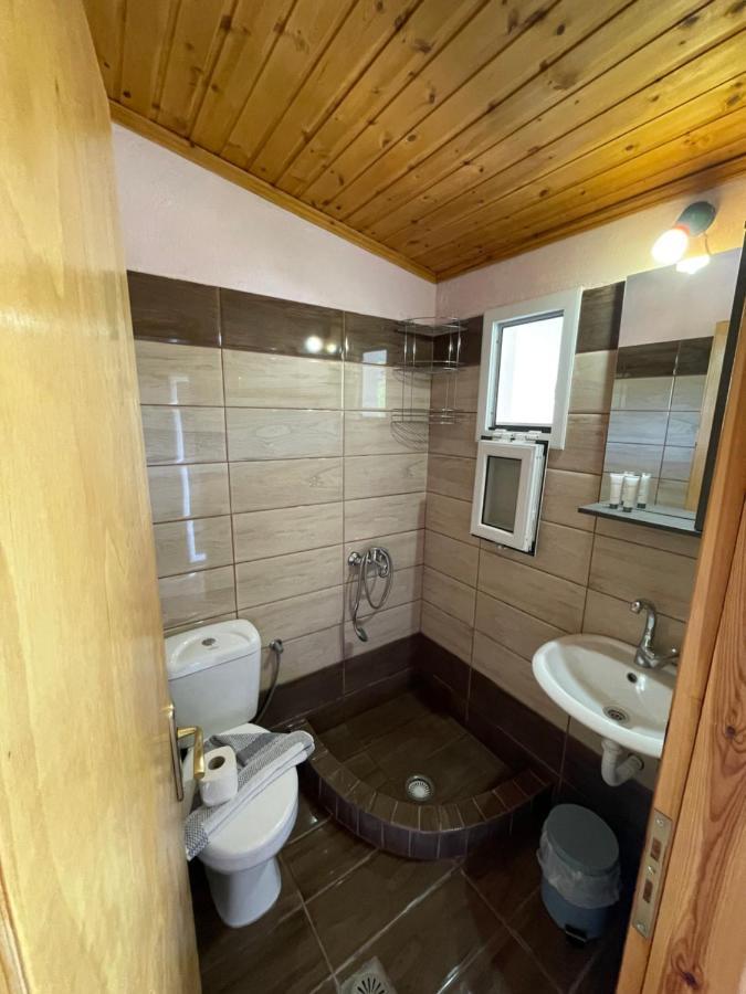 Meltemi Apartment Parga Ngoại thất bức ảnh